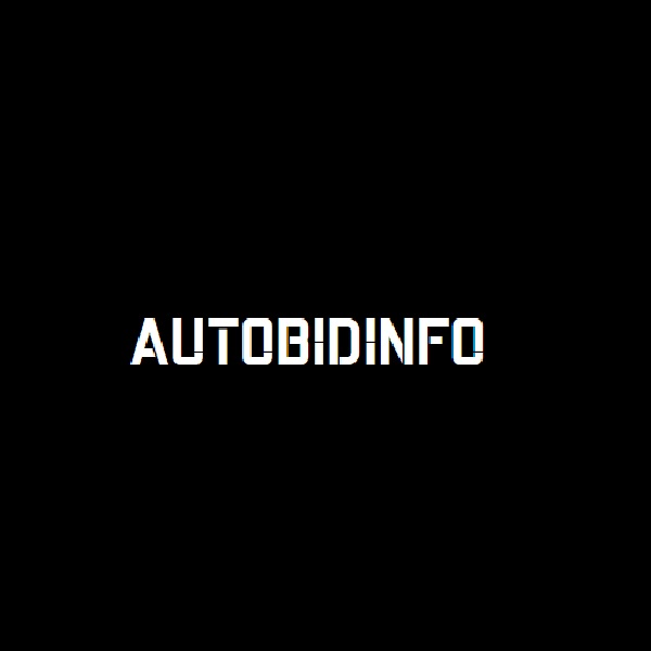 Autobidinfo